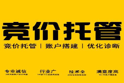 百度竞价赚钱的五大策略及成功案例解读